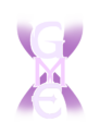 light gme logo
