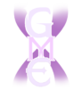 light gme logo